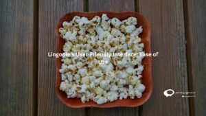 Lingopie User-friendly Interace: Ease of Use