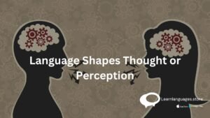 Language Shapes Thought or Perception