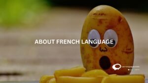 ABOUT FRENCH LANGUAGE