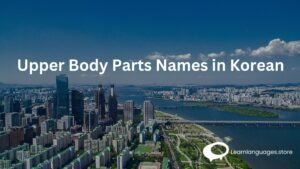 Upper Body Parts Names in Korean