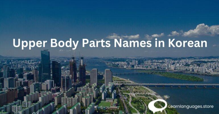 Upper Body Parts Names in Korean 