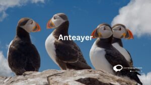 Anteayer