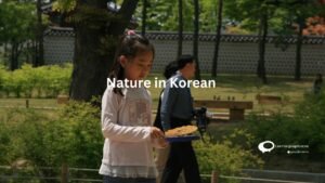 Vocabulary List for Nature in Korean
