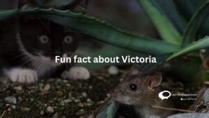 fun facts about Victoria,