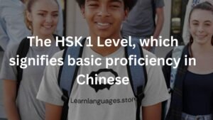 The HSK 1 Level, which signifies basic proficiency in Chinese