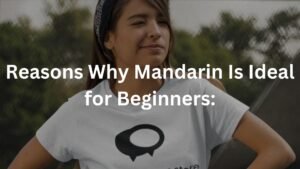 Reasons Why Mandarin Is Ideal for Beginners: