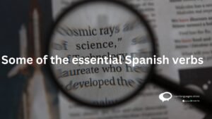 Some of the essential Spanish verbs