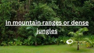 In mountain ranges or dense jungles
