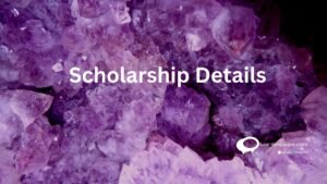 scholarship details