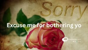 Excuse med for bothering yo