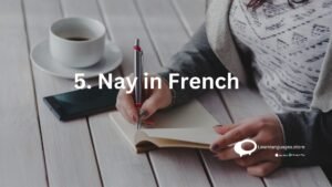 5.Nay in French
