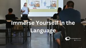 immerse yourself in the language