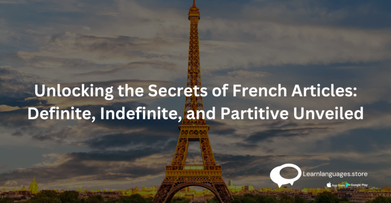 Illustration of French articles - definite, indefinite, and partitive - with humorous explanations