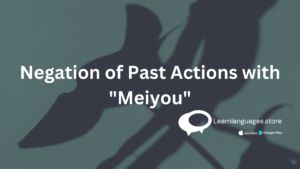 "Chinese character 没有 (méiyǒu) used for negating past actions."