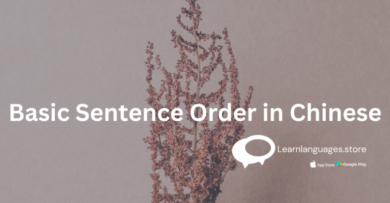the basic sentence structure in Chinese