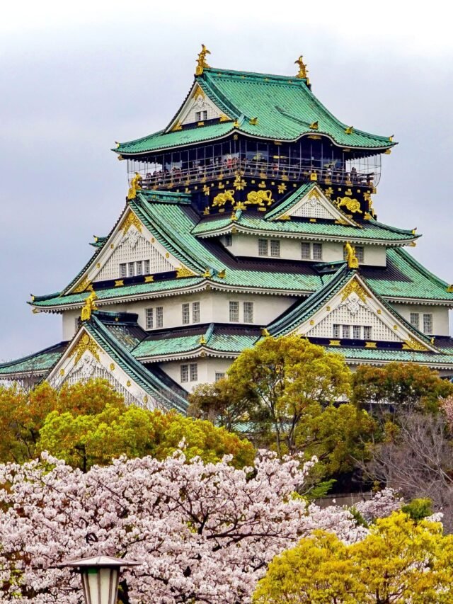“Why Learn Japanese? 5 Life-Changing Reasons”