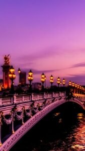 paris (5)