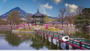why-learning-korean-is-necessary